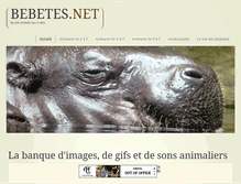 Tablet Screenshot of bebetes.net